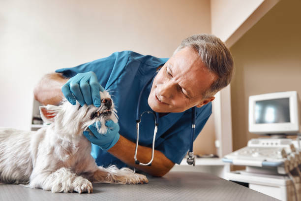 Best After-Hours Emergency Dentist in Jewett City, CT